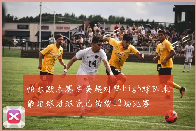 帕尔默本赛季英超对阵big6球队未能进球进球荒已持续12场比赛