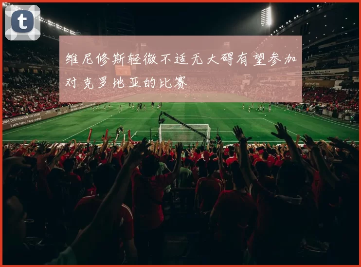 维尼修斯轻微不适无大碍有望参加对克罗地亚的比赛